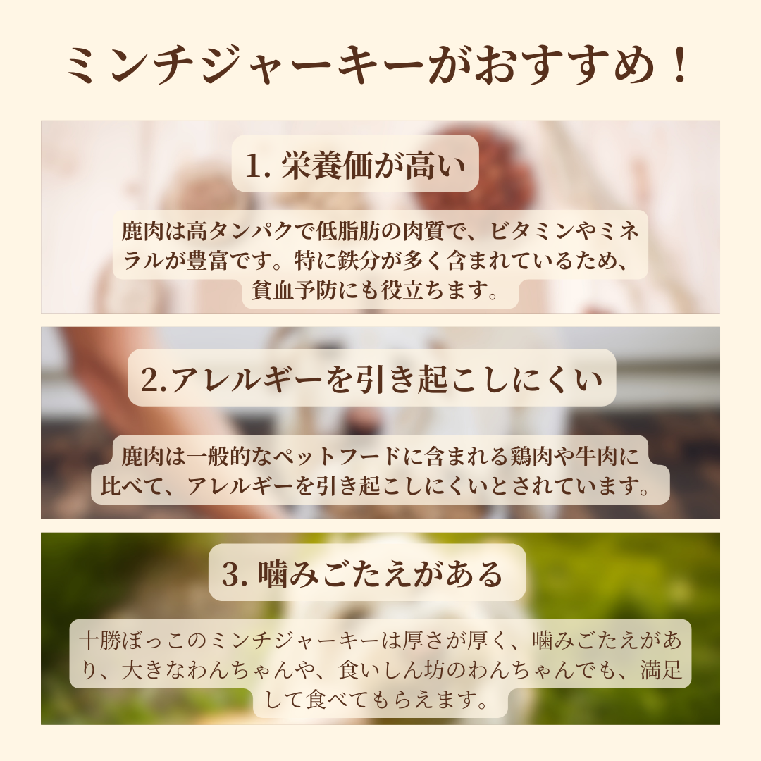 【お得な定期便】エゾ鹿肉 贅沢肉厚ミンチジャーキー 50g