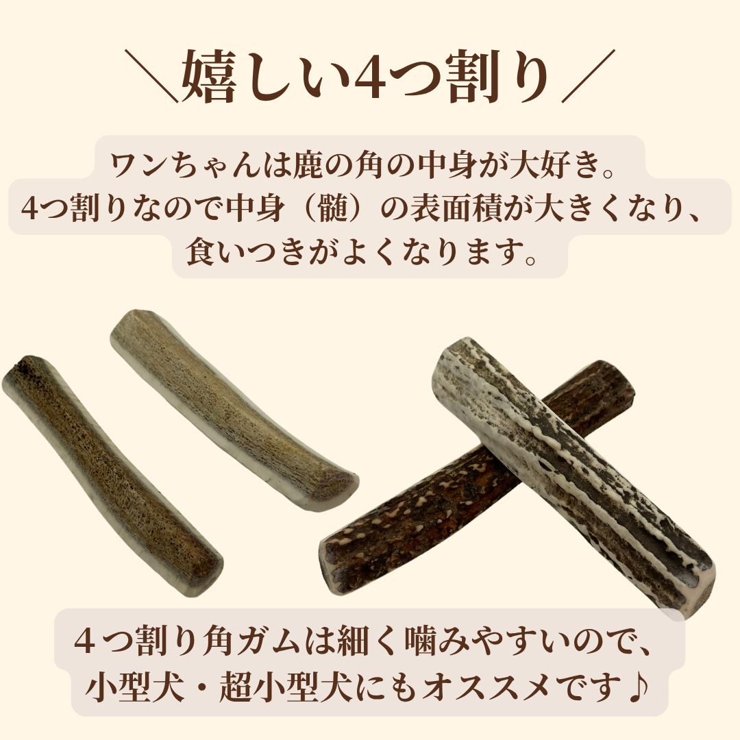【犬用:4つ割り】エゾ鹿の角ガム 4つ割り×2本セット 小型犬用 手作り天然無添加