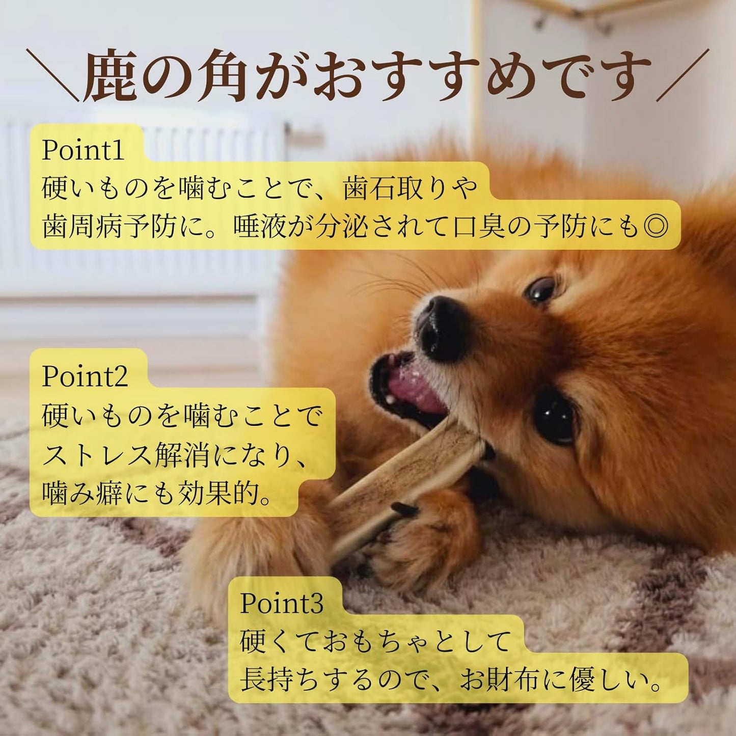【犬用:4つ割り】エゾ鹿の角ガム 4つ割り×2本セット 小型犬用 手作り天然無添加