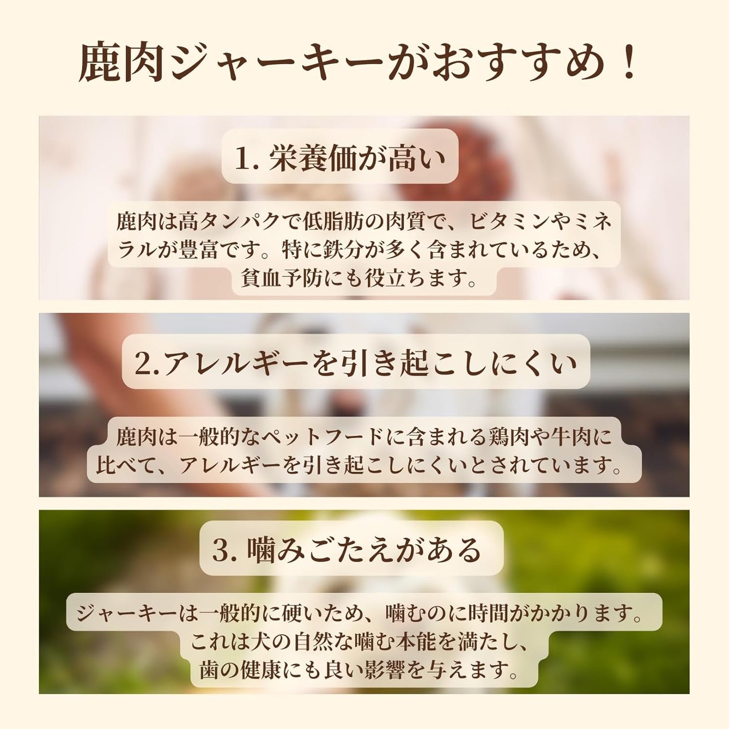 【お得な定期便】エゾ鹿肉 プレミアムジャーキー 40g