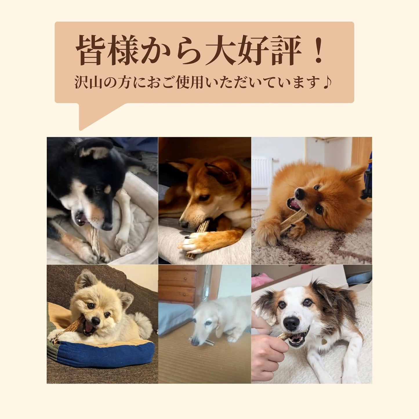【犬用:4つ割り】エゾ鹿の角ガム 4つ割り×2本セット 小型犬用 手作り天然無添加