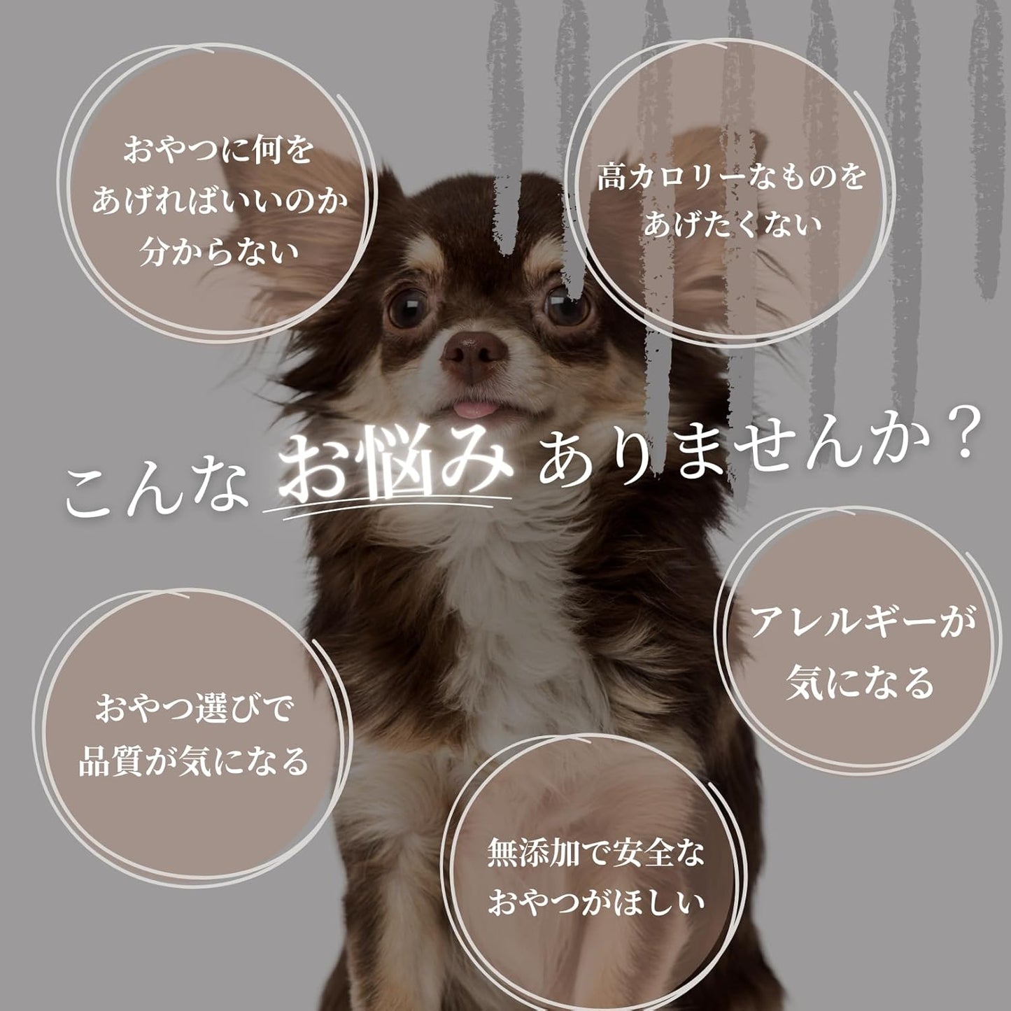 【お得な定期便】エゾ鹿肉 プレミアムジャーキー 40g