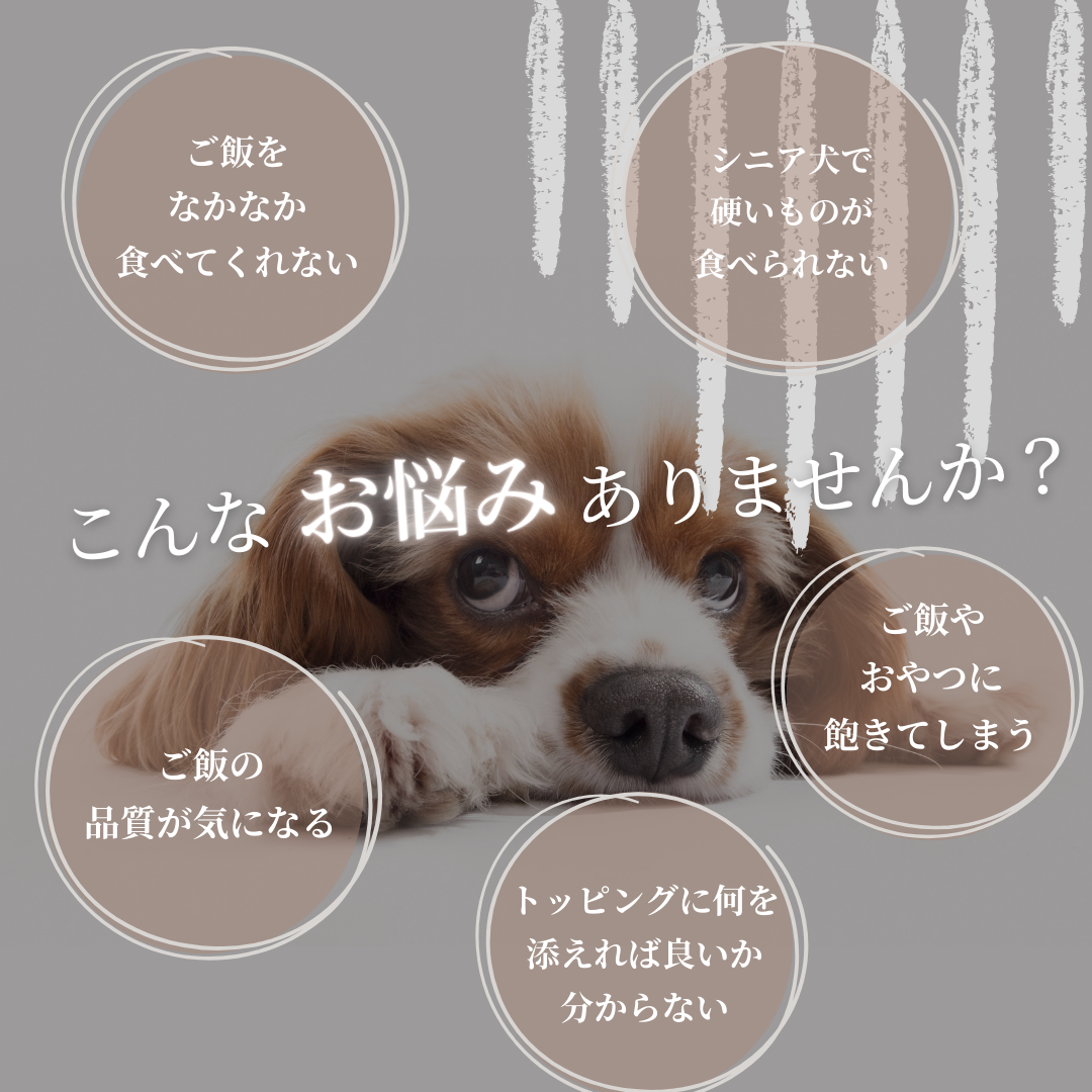 【数量限定／お得な大容量】 エゾ鹿肉 低温乾燥ごちそうフレーク 100g 手作り天然無添加