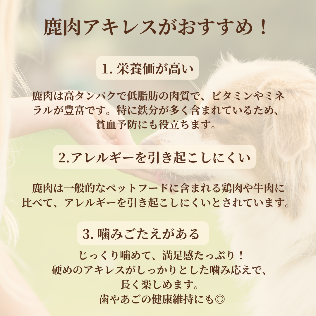 ＊限定＊ エゾ鹿 アキレス 2本入 手作り天然無添加
