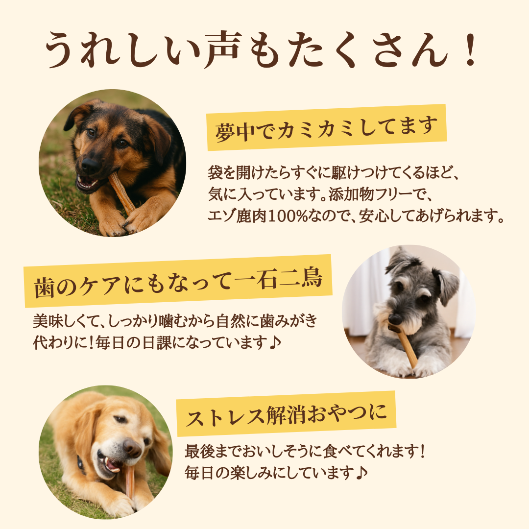 ＊限定＊ エゾ鹿 アキレス 2本入 手作り天然無添加