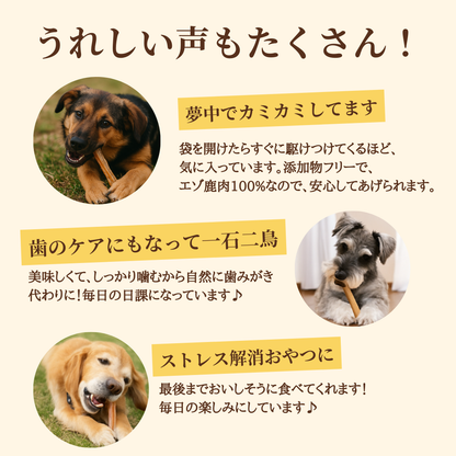 ＊限定＊ エゾ鹿 アキレス 2本入 手作り天然無添加