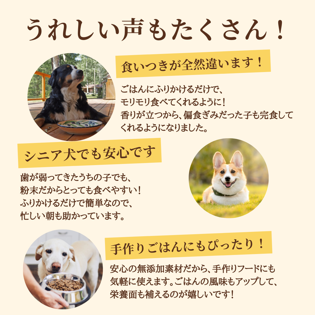 ＊限定＊ エゾ鹿肉 ジャーキーパウダー 50g 手作り天然無添加