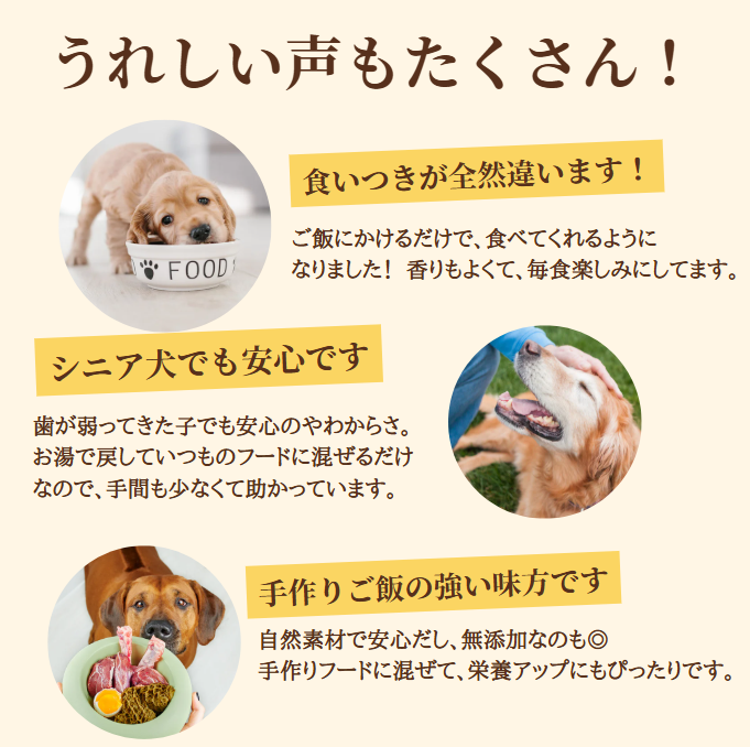 【数量限定／お得な大容量】 エゾ鹿肉 低温乾燥ごちそうフレーク 100g 手作り天然無添加