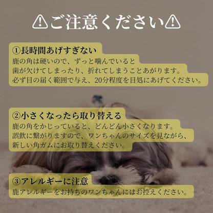 【犬用：4つ割り】エゾ鹿の角ガム ４つ割り×2本セット 小型犬用 手作り天然無添加