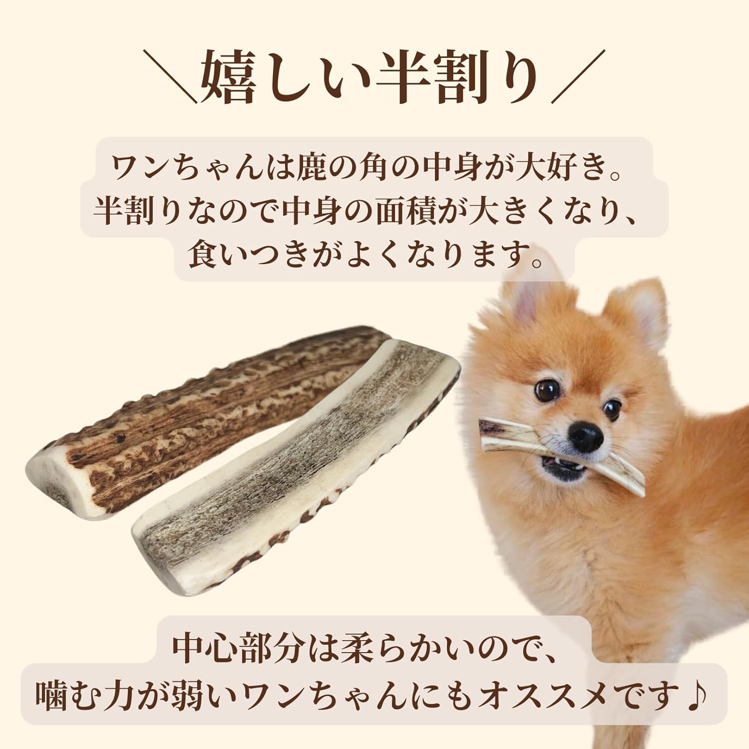 犬用：半割り】エゾ鹿の角ガム 半割り×2本セット＜3サイズ＞手作り天然