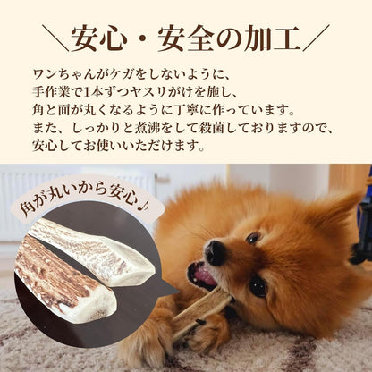 【犬用：4つ割り】エゾ鹿の角ガム ４つ割り×2本セット 小型犬用 手作り天然無添加