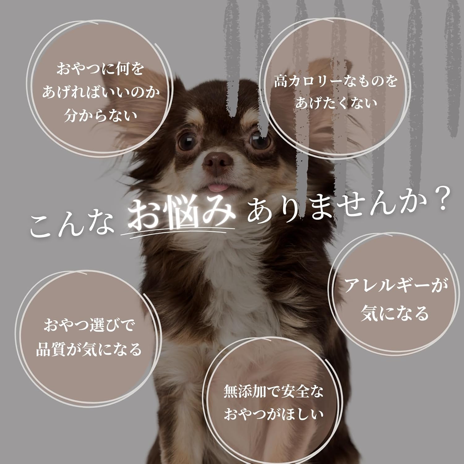 お得な定期便】エゾ鹿肉 プレミアムジャーキー 40g – 十勝ぼっこ