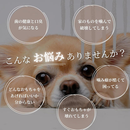 【犬用：4つ割り】エゾ鹿の角ガム ４つ割り×2本セット 小型犬用 手作り天然無添加